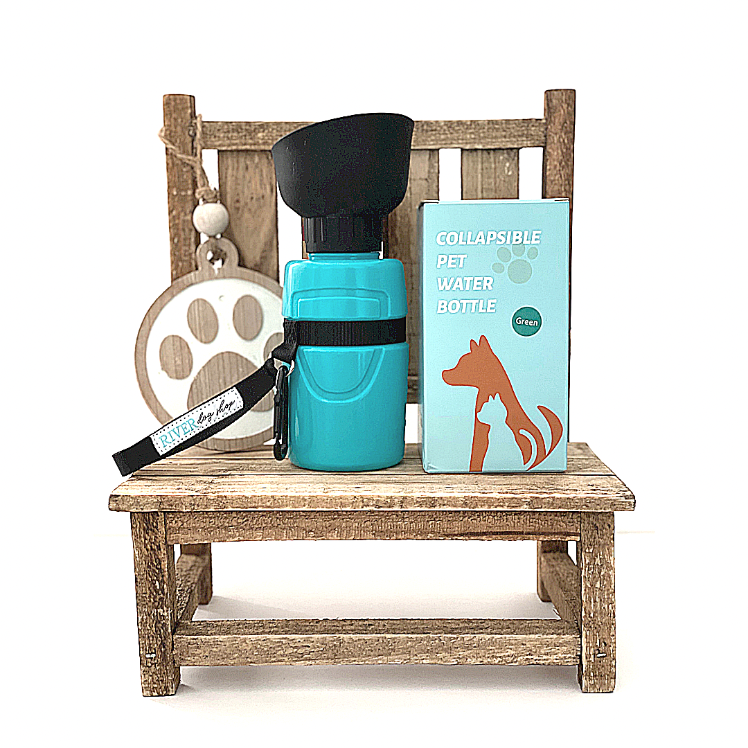 Collapsible Pet Water Bottle - Teal/Green