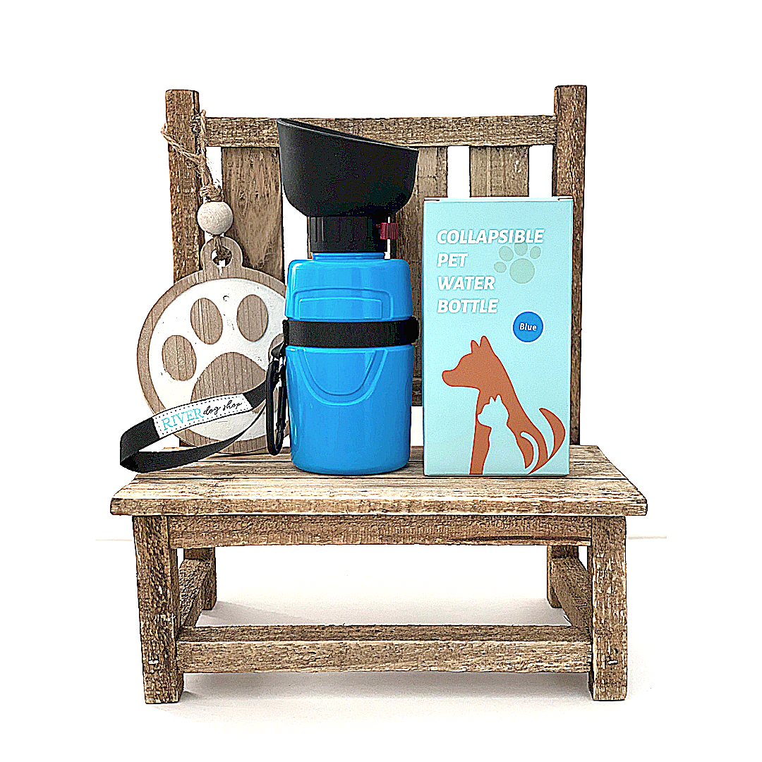 Collapsible Pet Water Bottle - Teal/Green