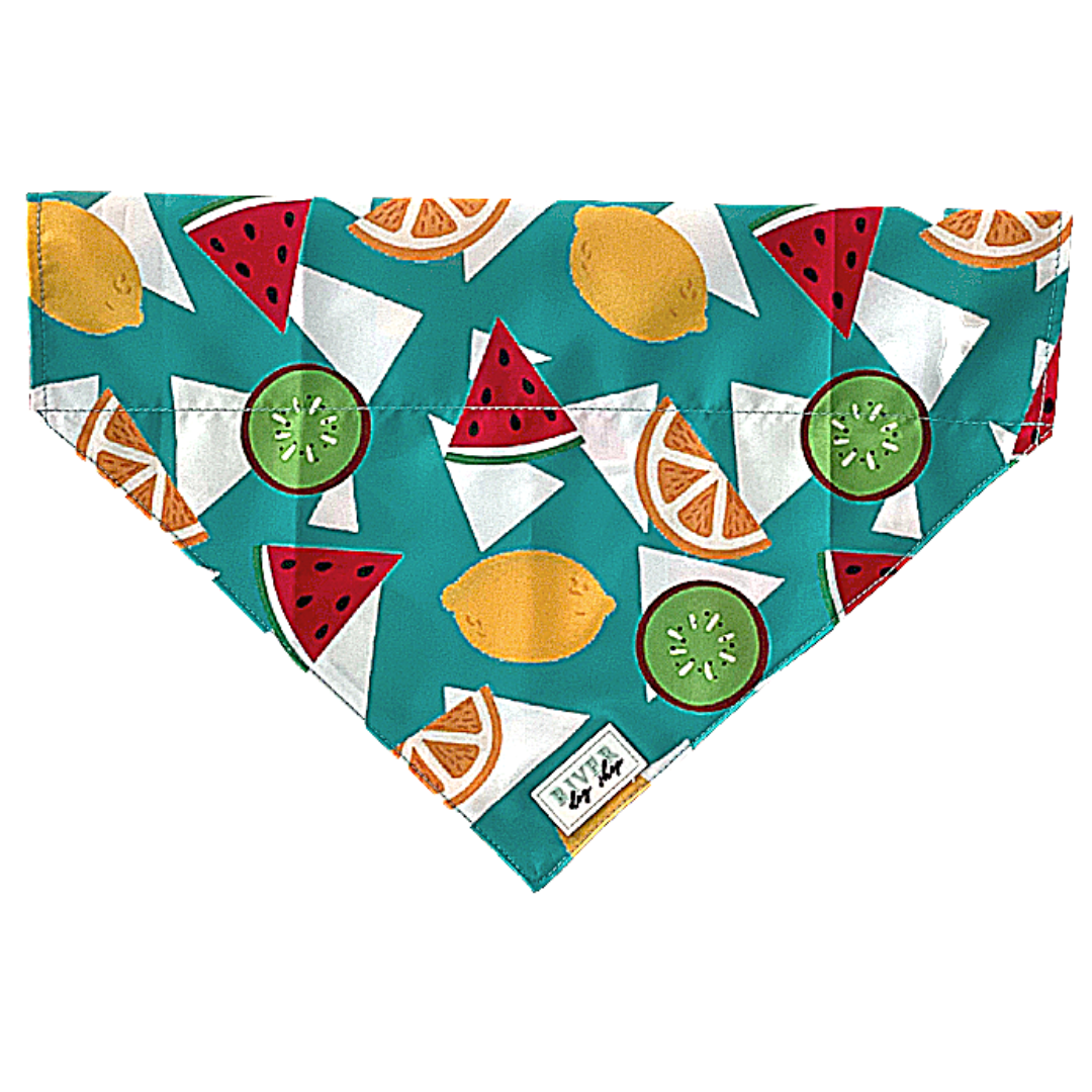 Large dog clearance bandana collar